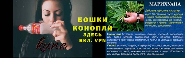 стаф Нея
