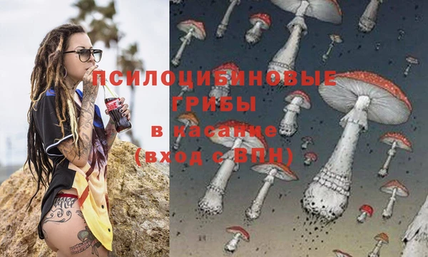 стаф Нея