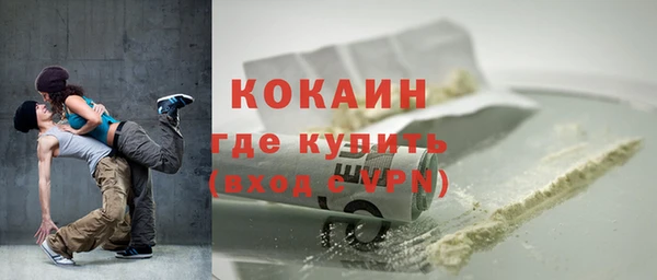 стаф Нея