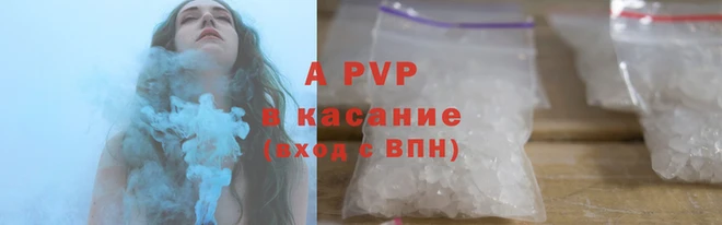 стаф Нея