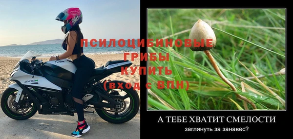 стаф Нея