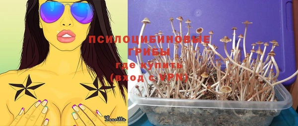 спиды Нефтекумск