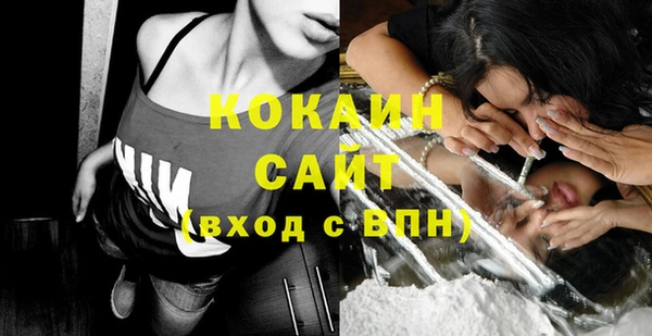 стаф Нея