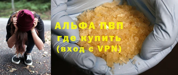 стаф Нея