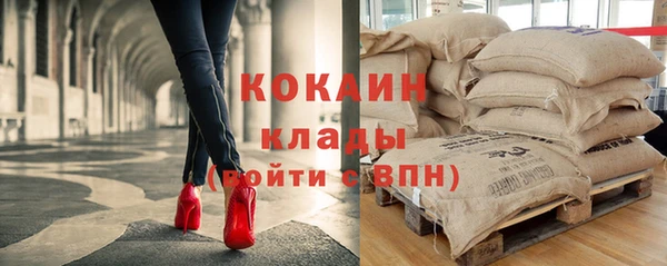 стаф Нея